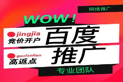 大数据分析在竞价广告中的应用